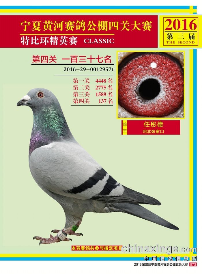 2017ꌎSӹP(gun)137
