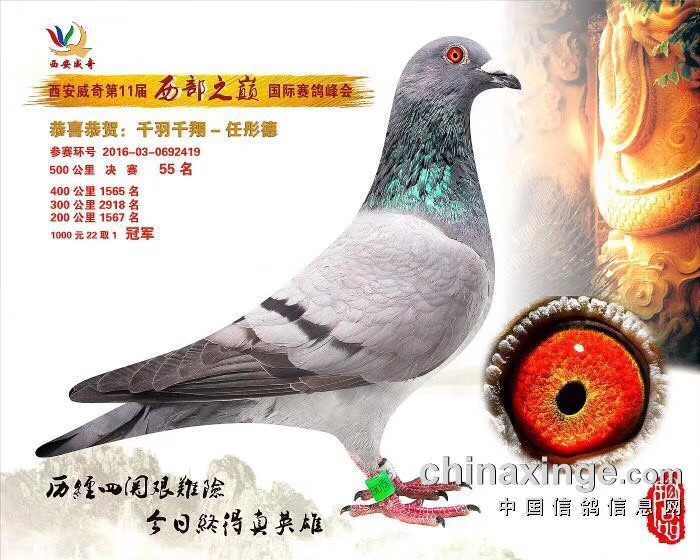 2016湫Qِ55