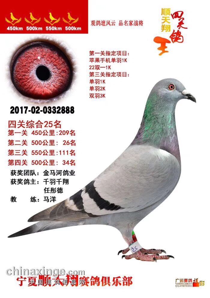 2017ꌎP(gun)25