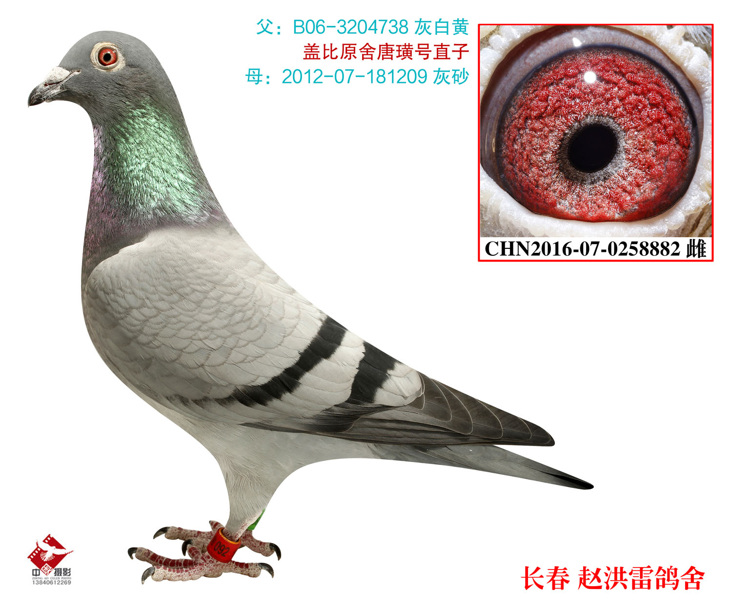 盖比