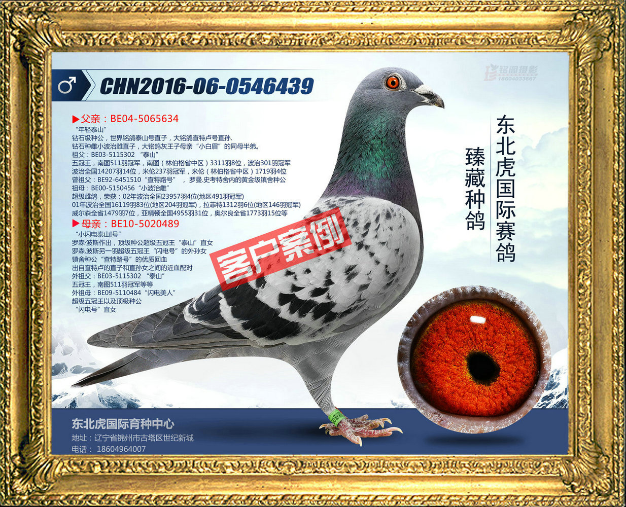 Ƭ12