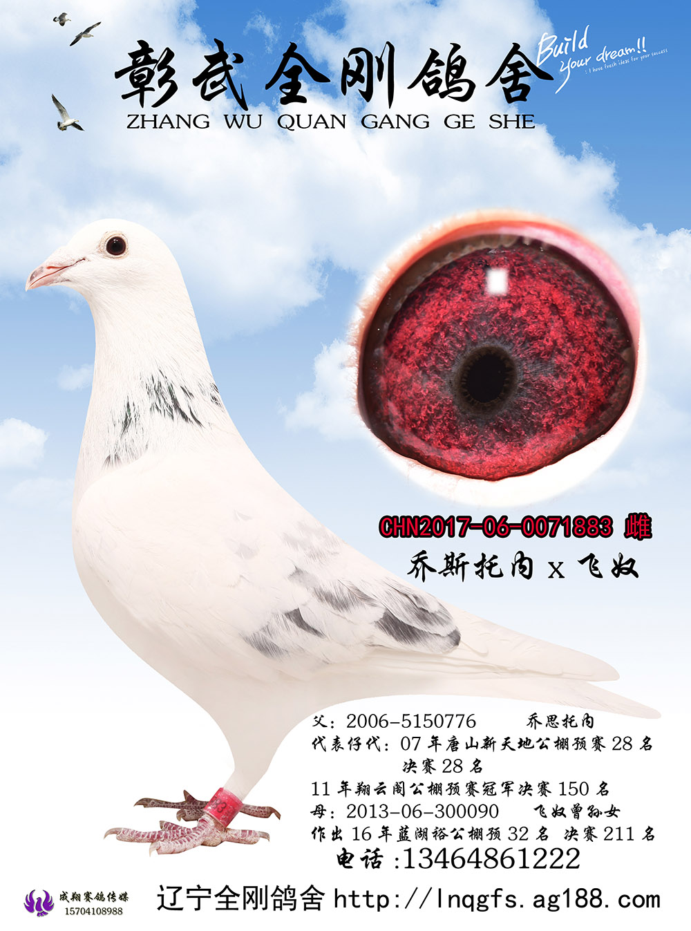 乔斯托内×飞奴《己售》
