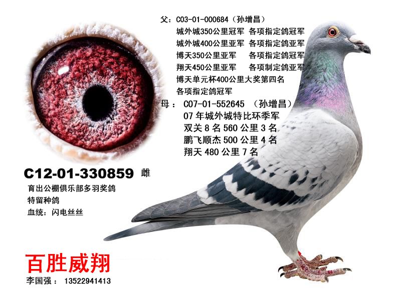 夏拉肯丝丝