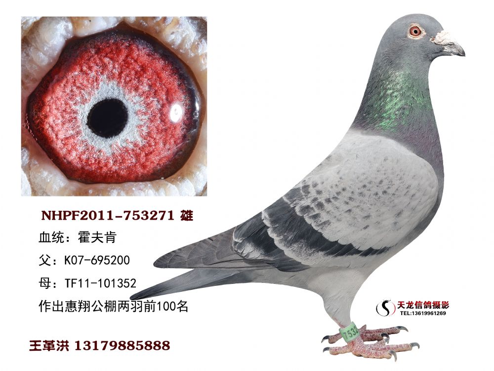 别:             不详                         目 录:  广兴霍夫肯