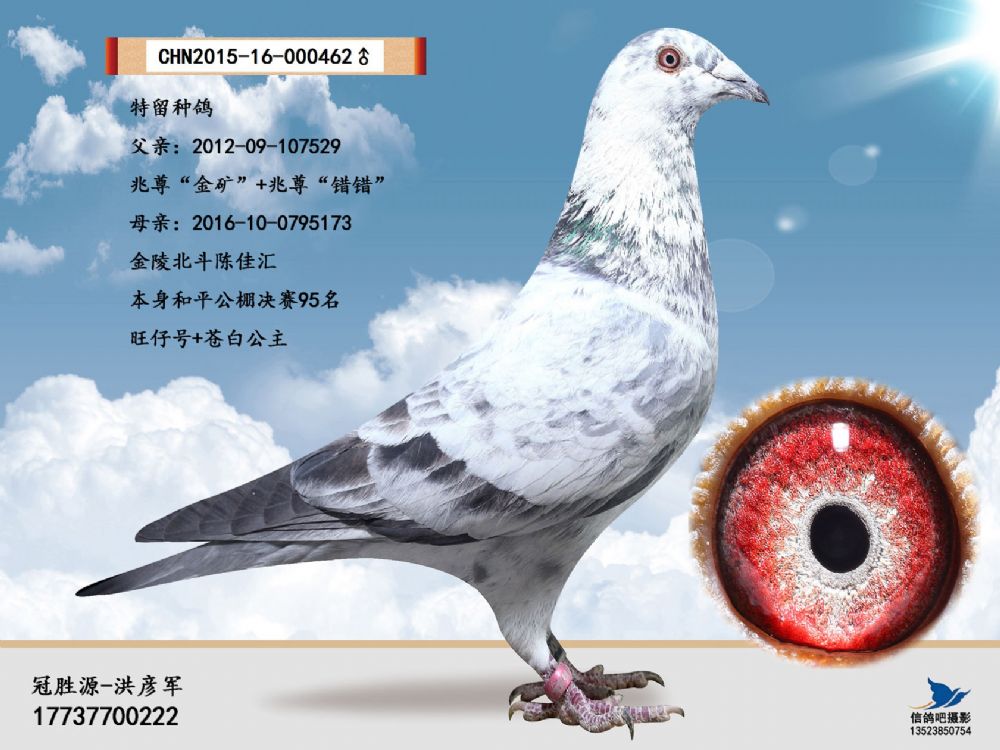 兆尊金矿 北斗旺仔