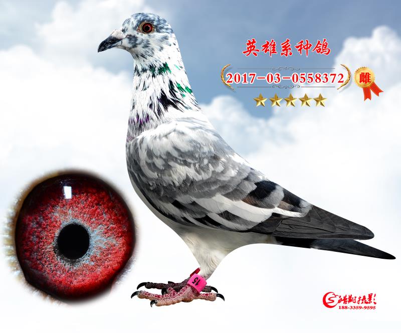 Ӣ372