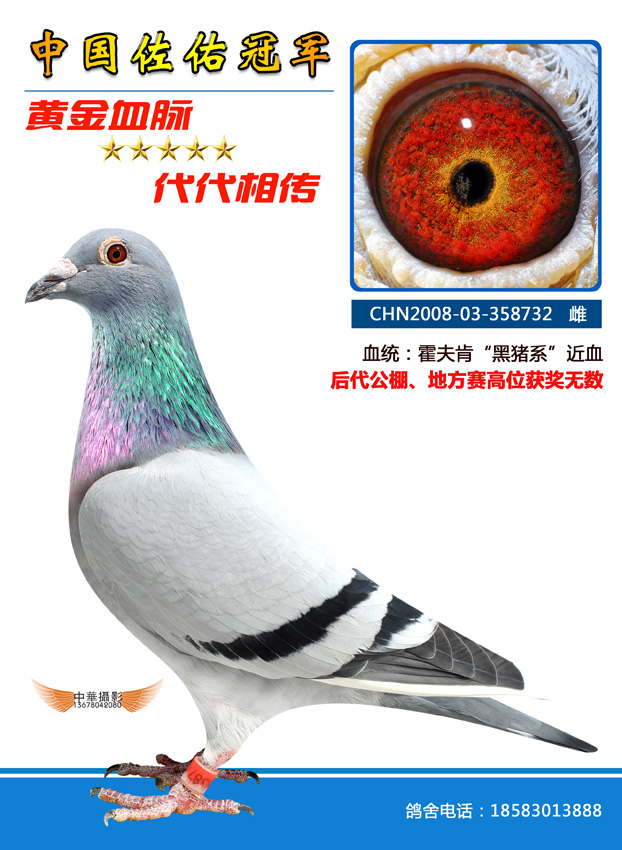 霍夫肯732
