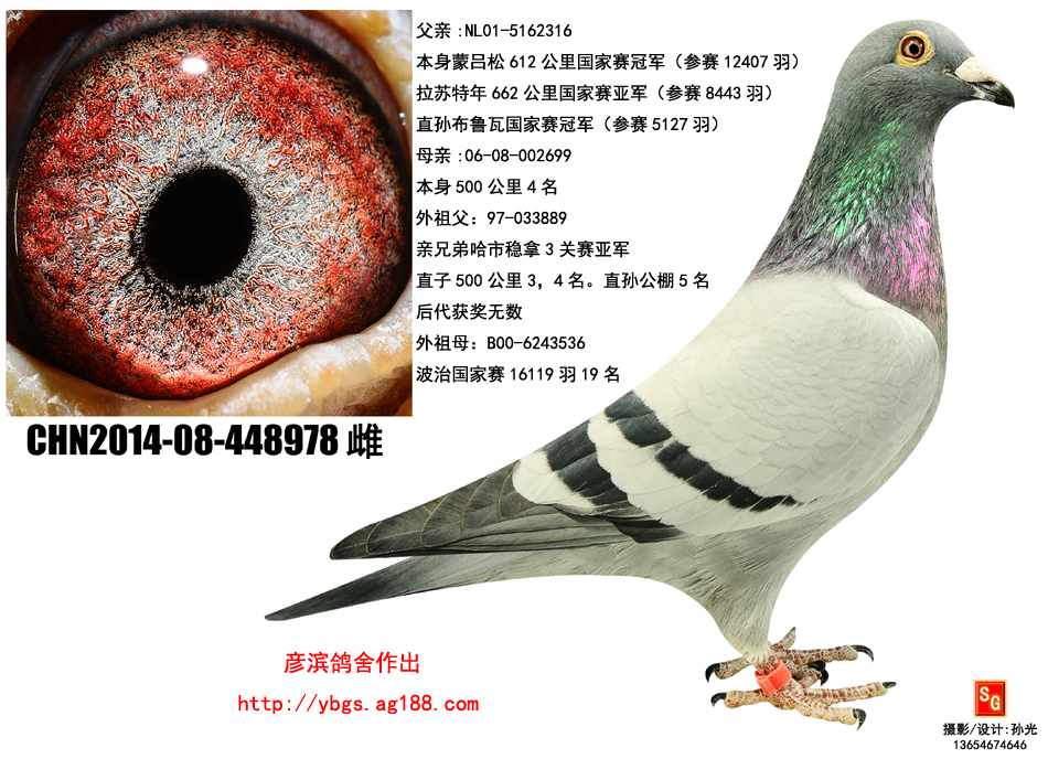Ʌ978