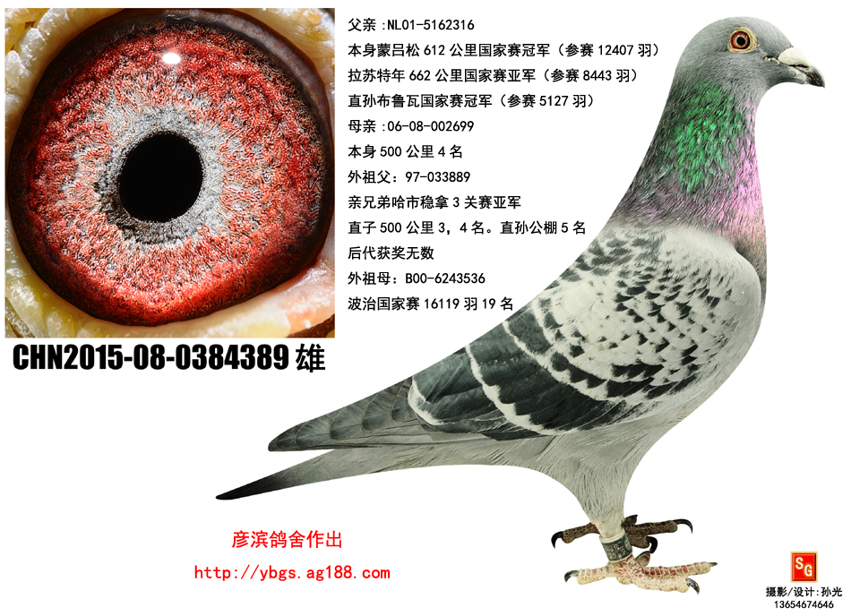 Ʌ389