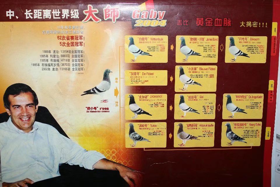 山西刘金林 - 中信网铭鸽展厅 www.ag188.com