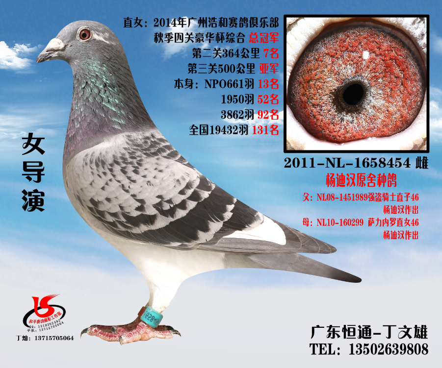 Ů(do)