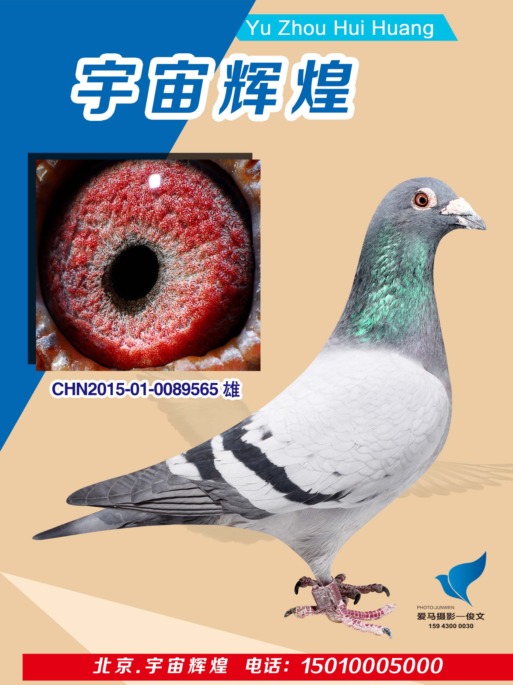 ���l(xi��ng)����Qِ84��