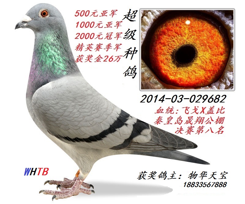 蹫8