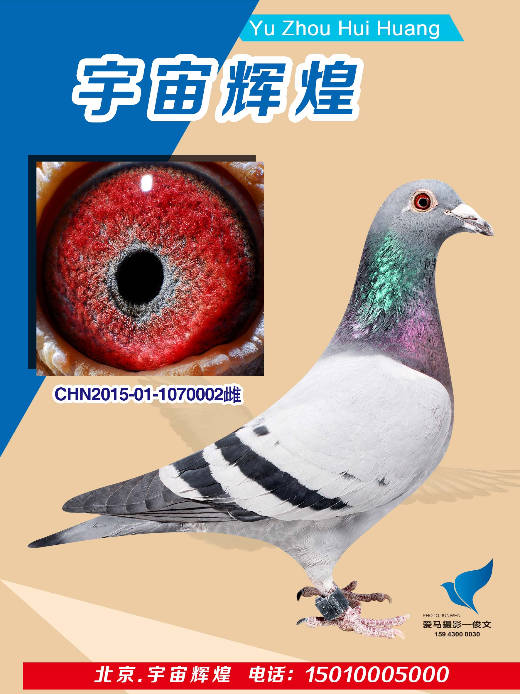 ���|��������52��