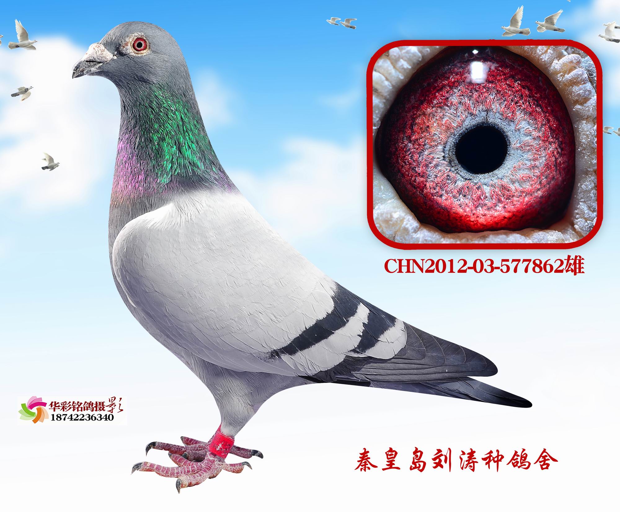 Ӣ862