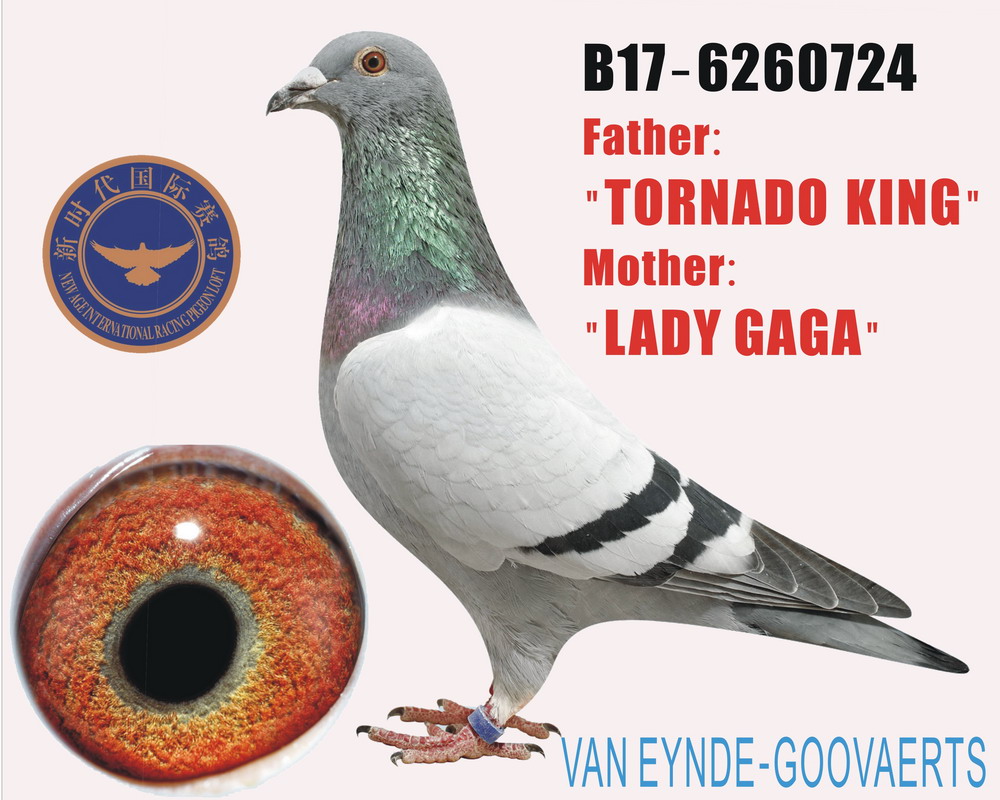 Ʌ54120214ȫ(gu)܊