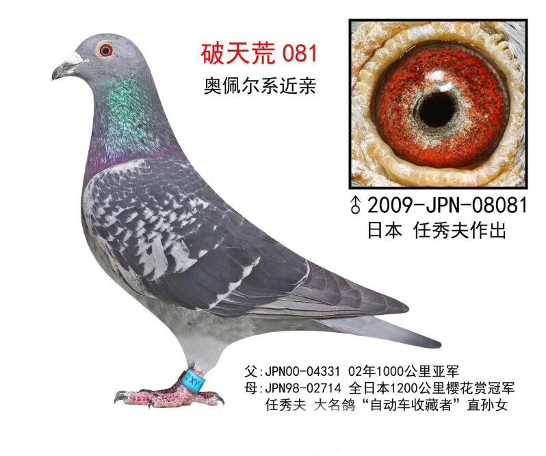 ձ/ԭ᡿W堖Ѫϵ