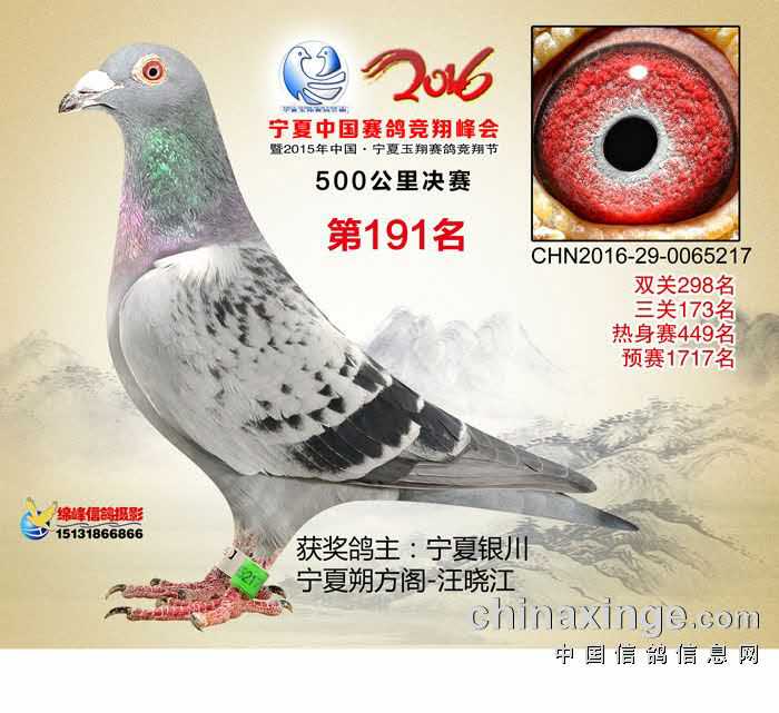 考夫曼x詹森969
