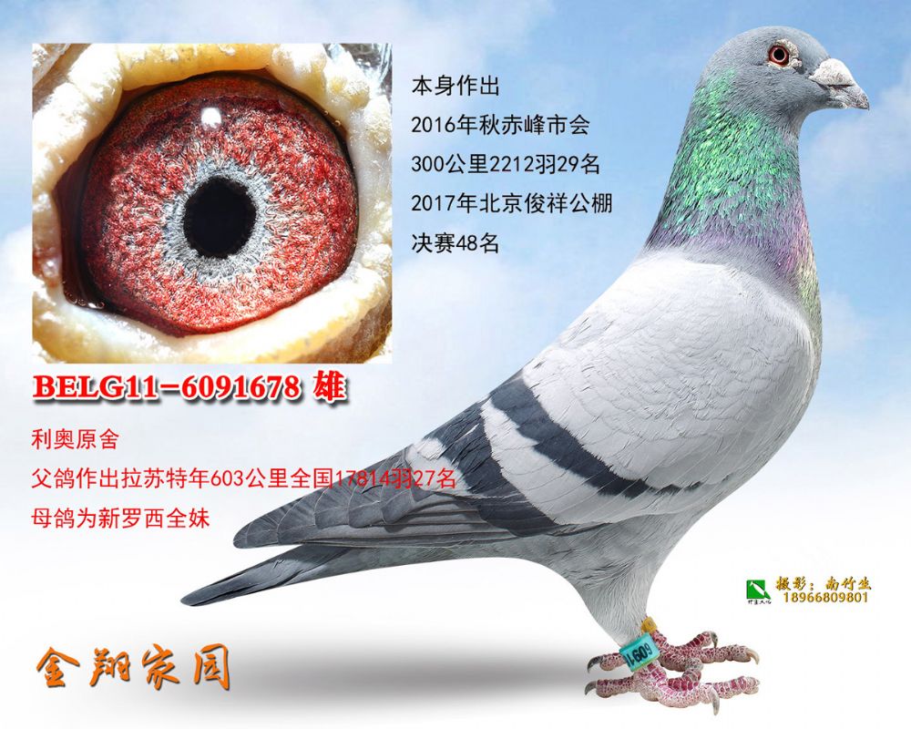 您要找的内蒙金翔家园展厅服务时间已到期