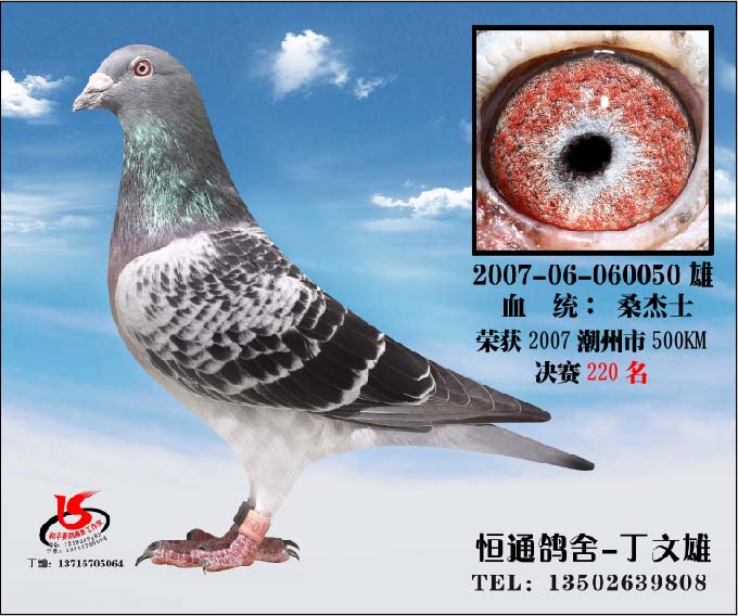 ɣʿ050