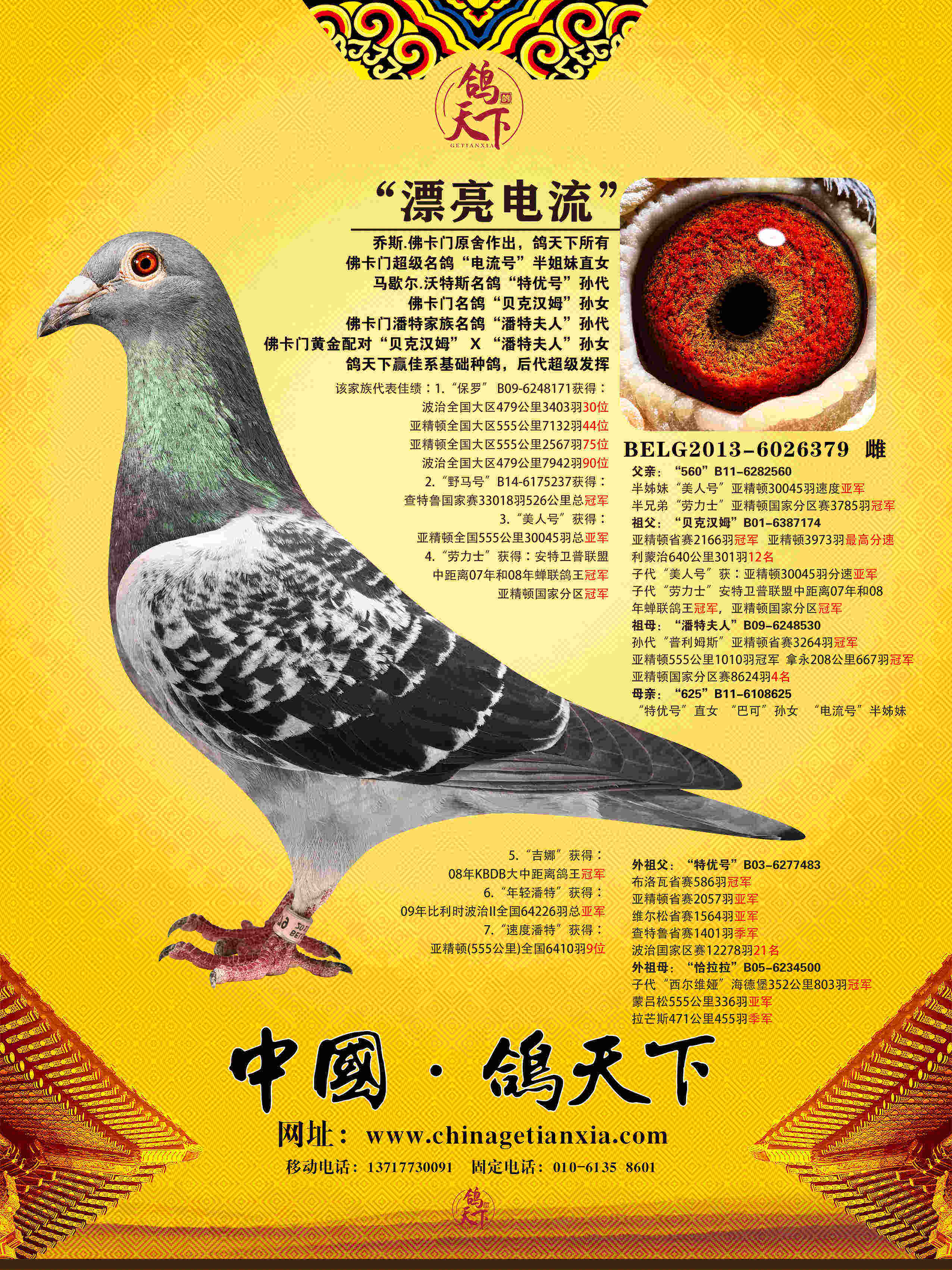 佛卡门"漂亮电流"