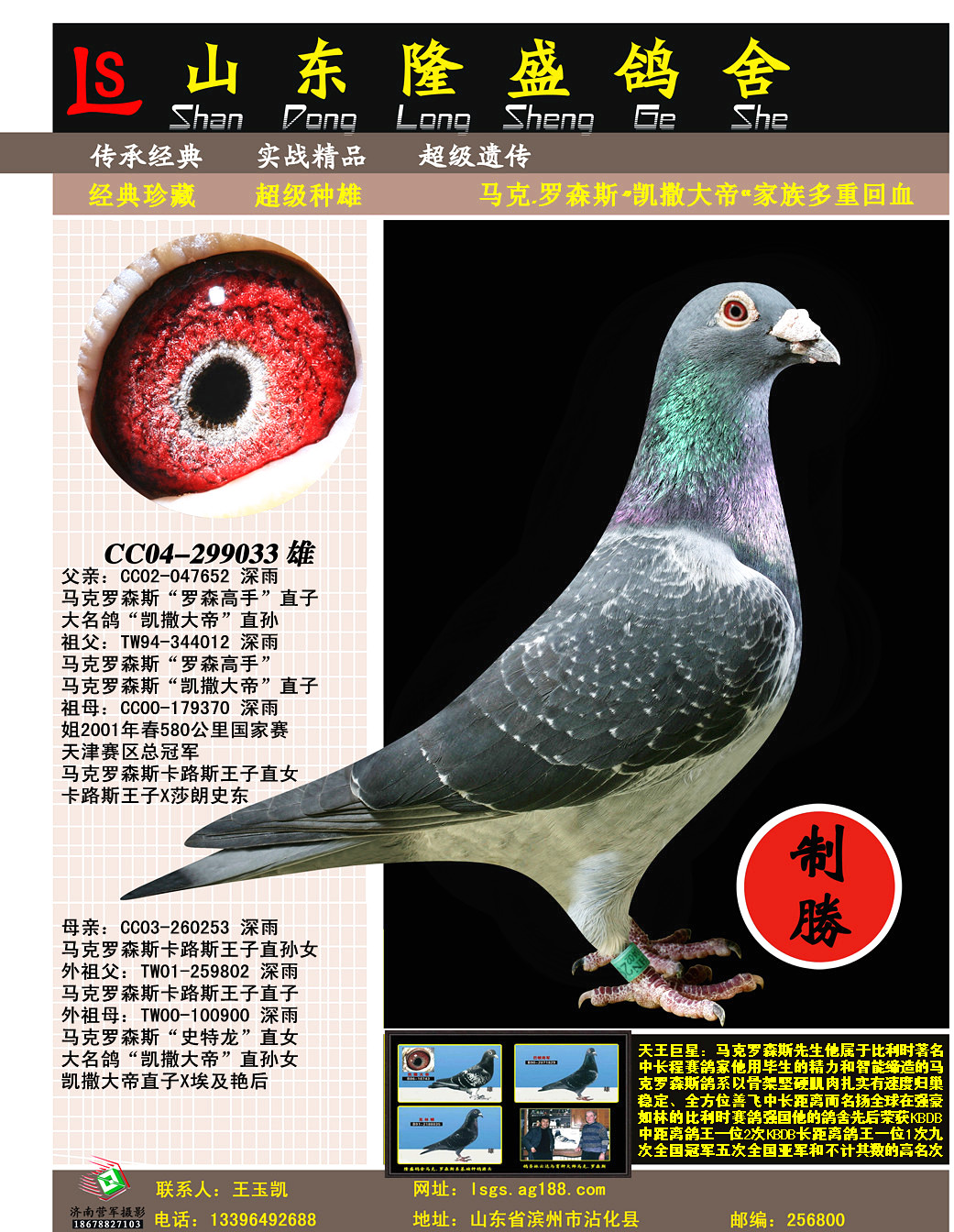 马克.罗森斯_隆盛鸽舍_ag188.com爱鸽商城_中国信鸽