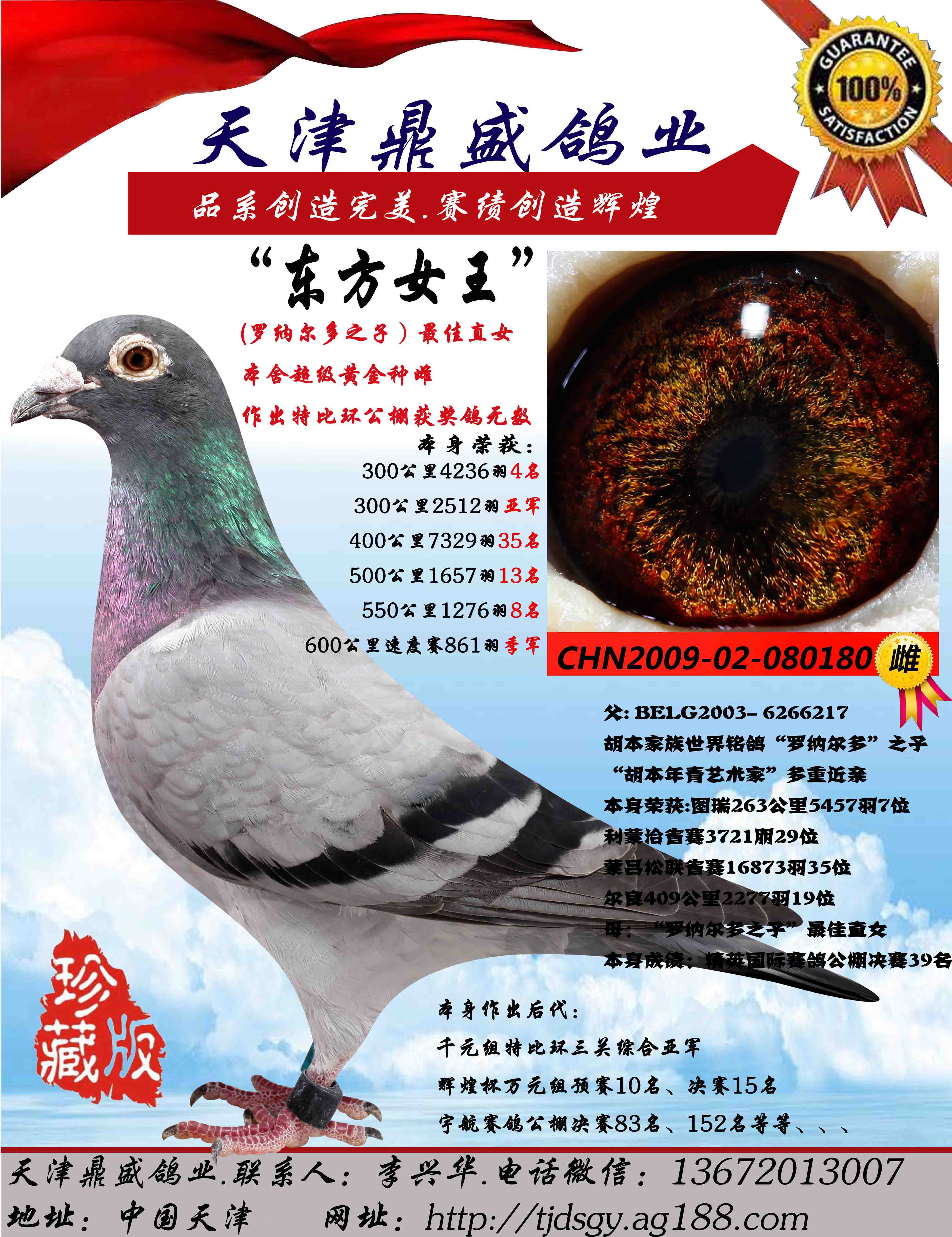 com爱鸽商城_中国