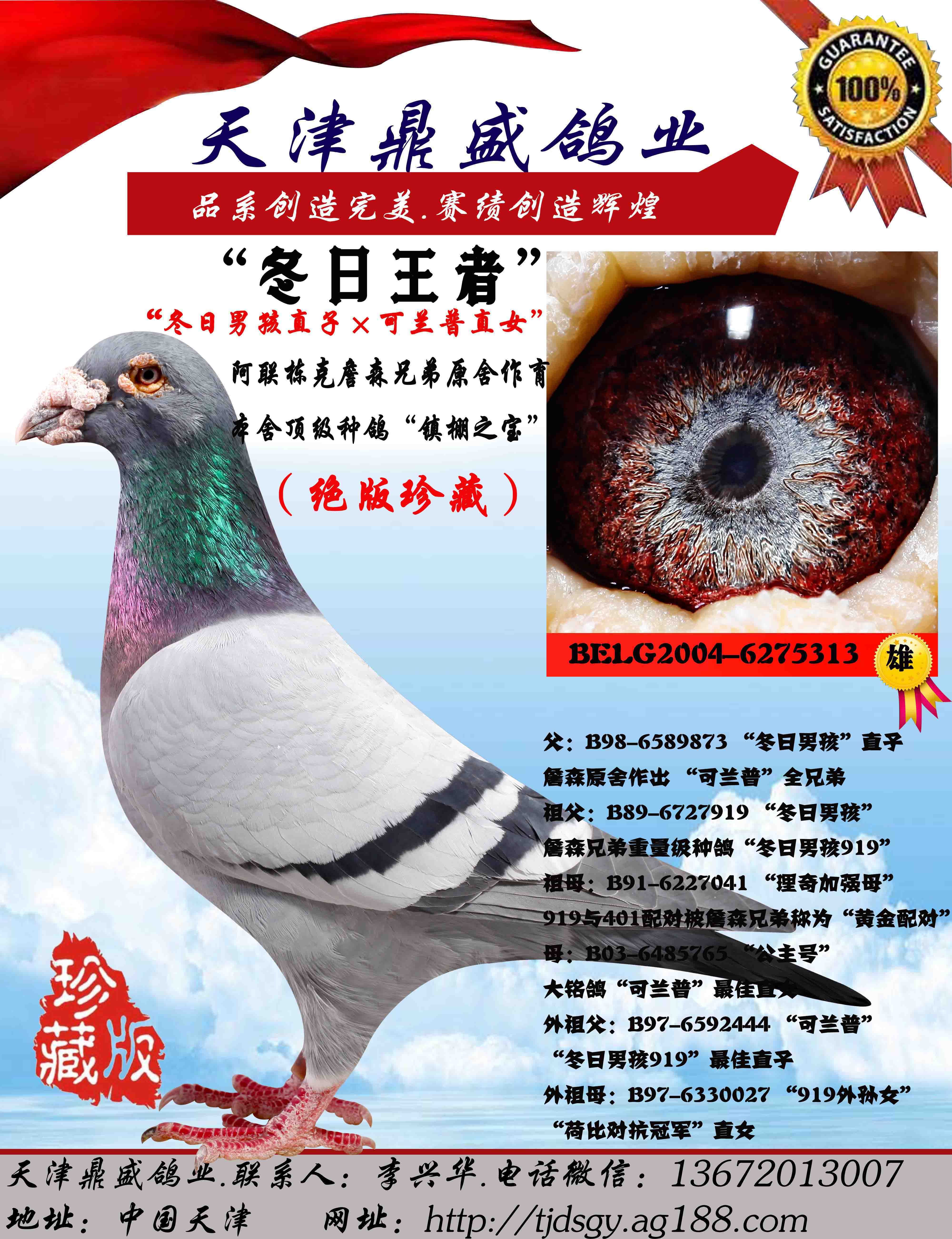 冬日王者