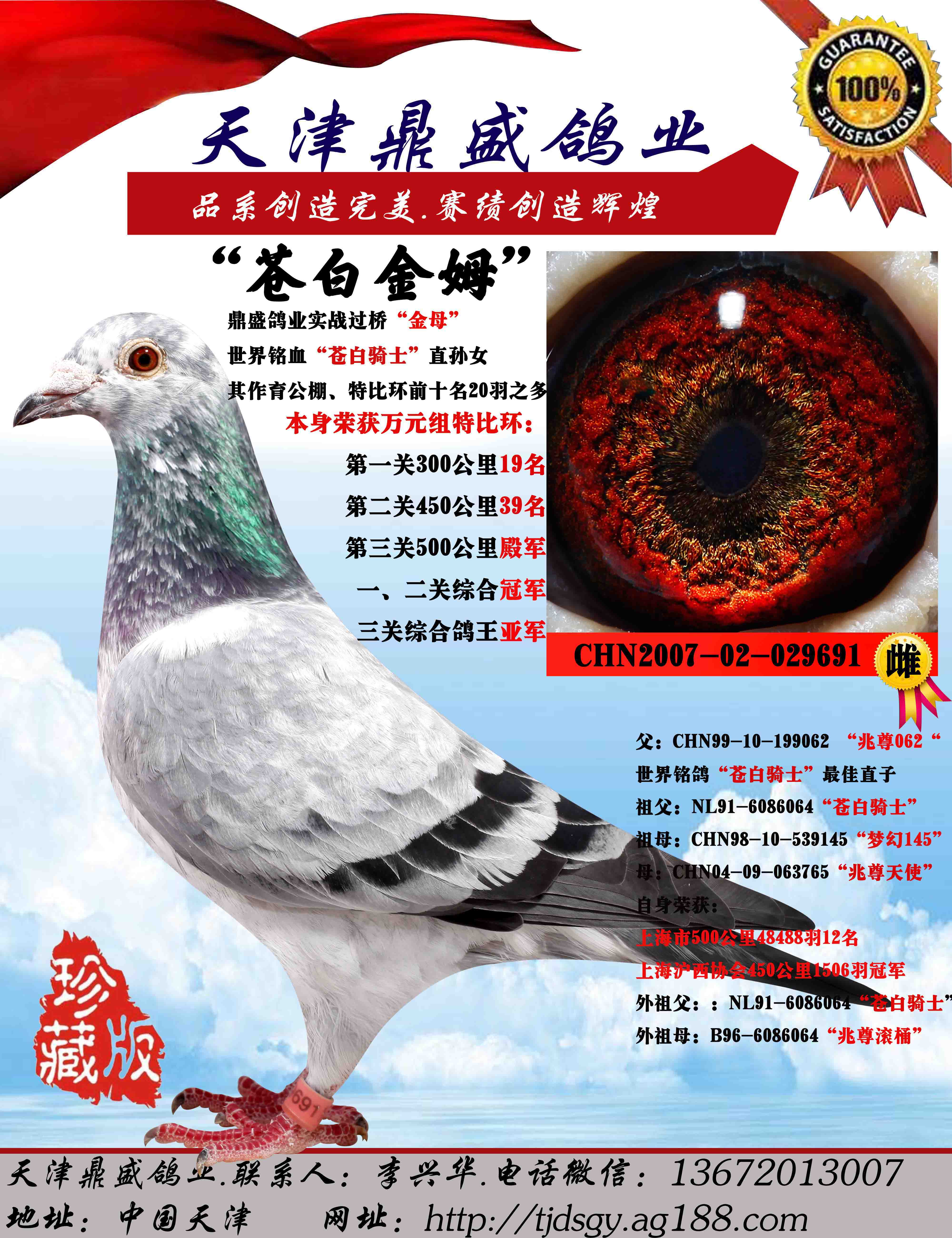 天津鼎盛鸽业