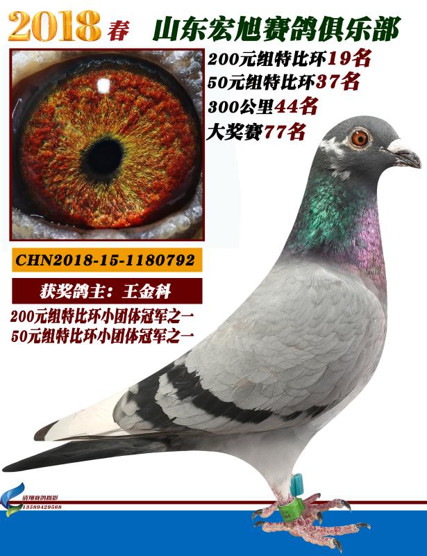 200ԪM19