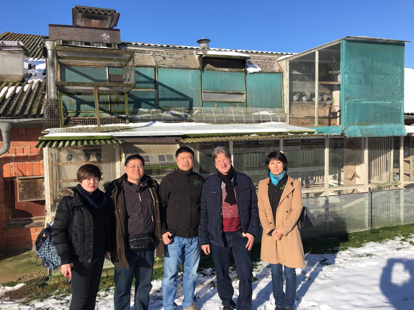 真实的德国平民实力鸽舍