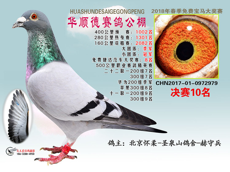 2018걱A혵´10
