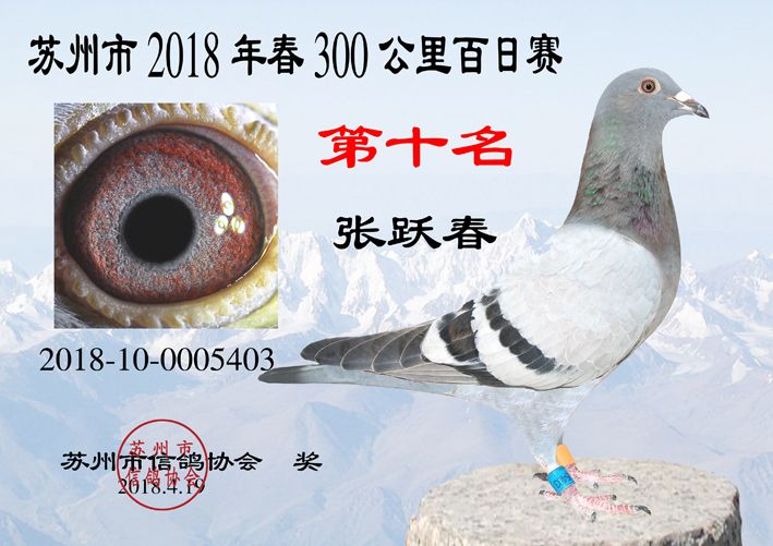 秀水苑张跃春苏州市春百日十名