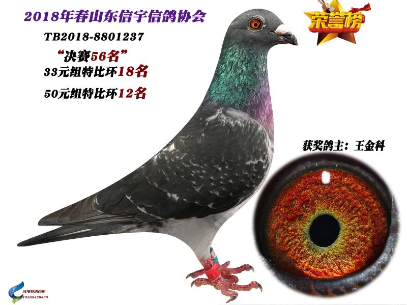 f(xi)(hu)رȭh(hun)12