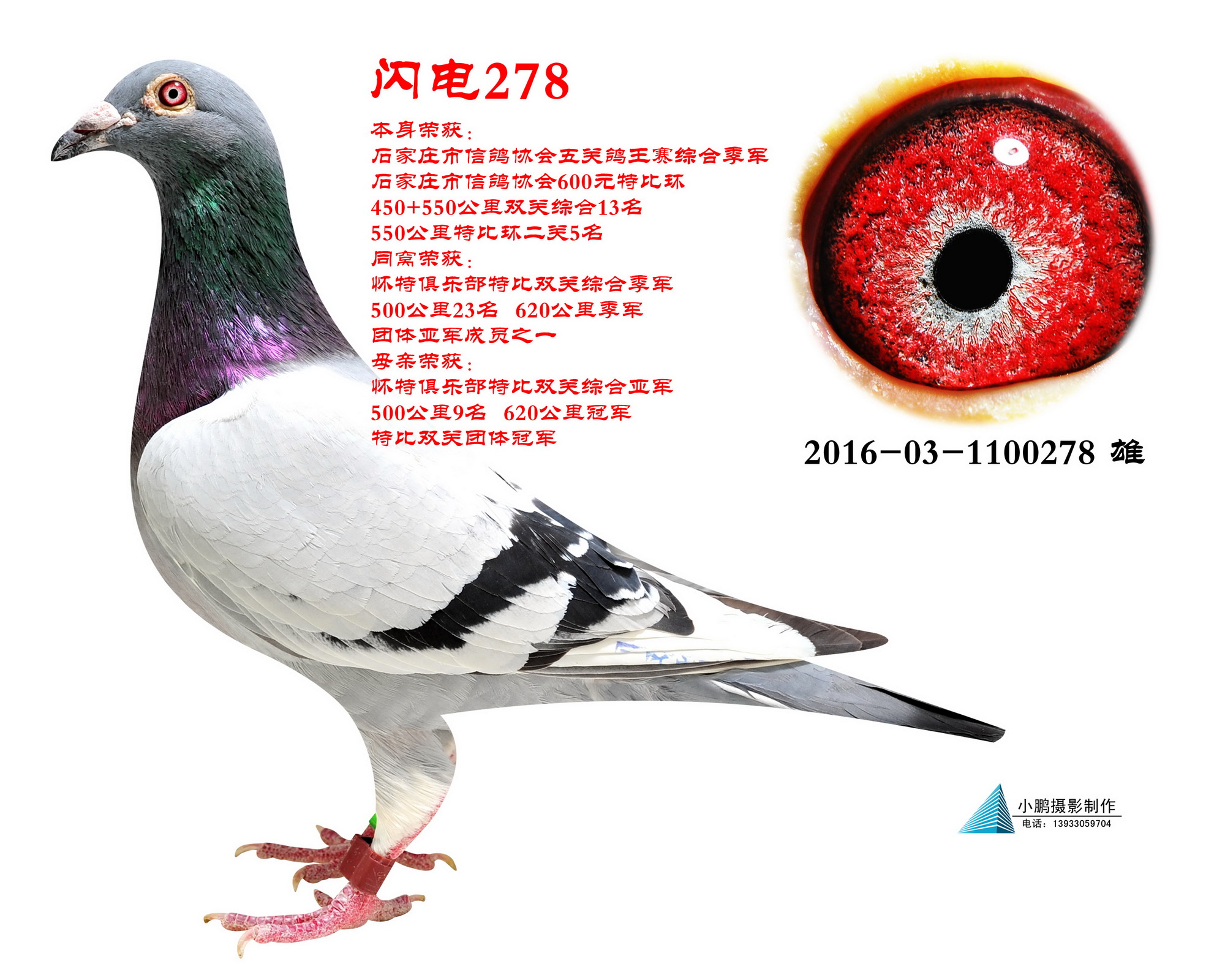 ɣʿ W278