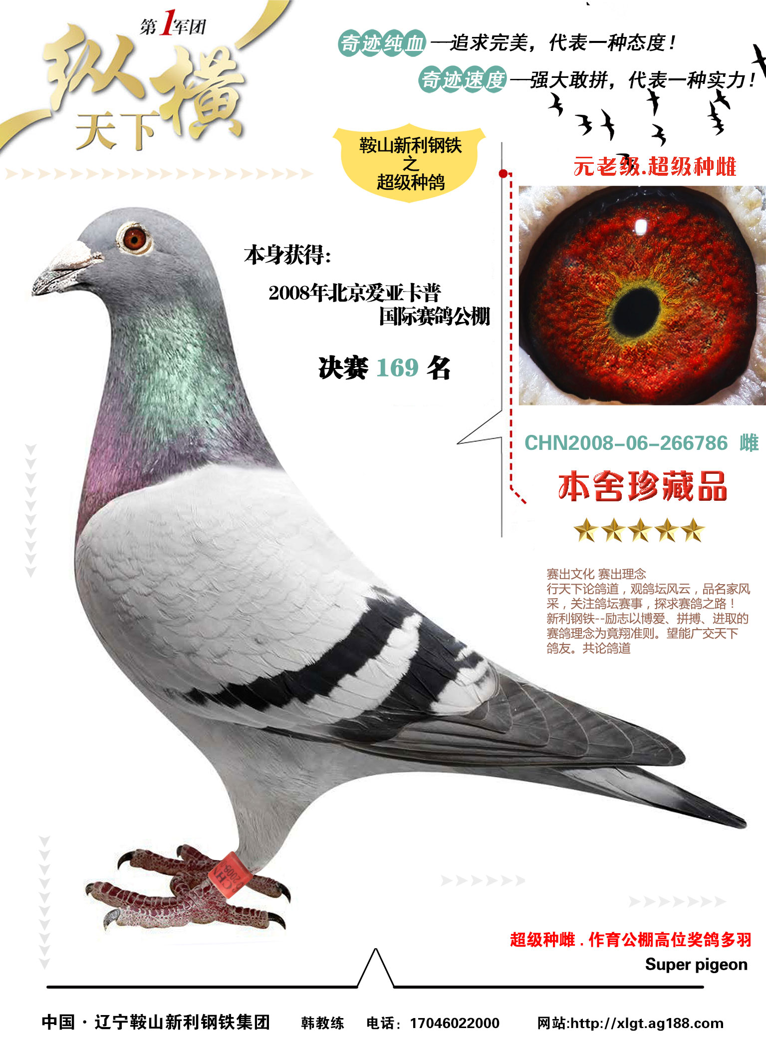 北京赛客林波尔