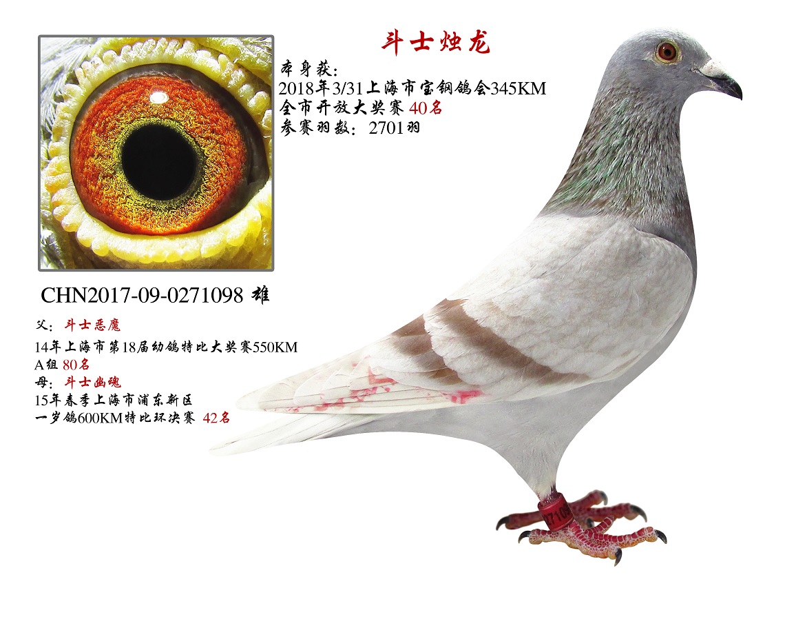 ��ʿ����