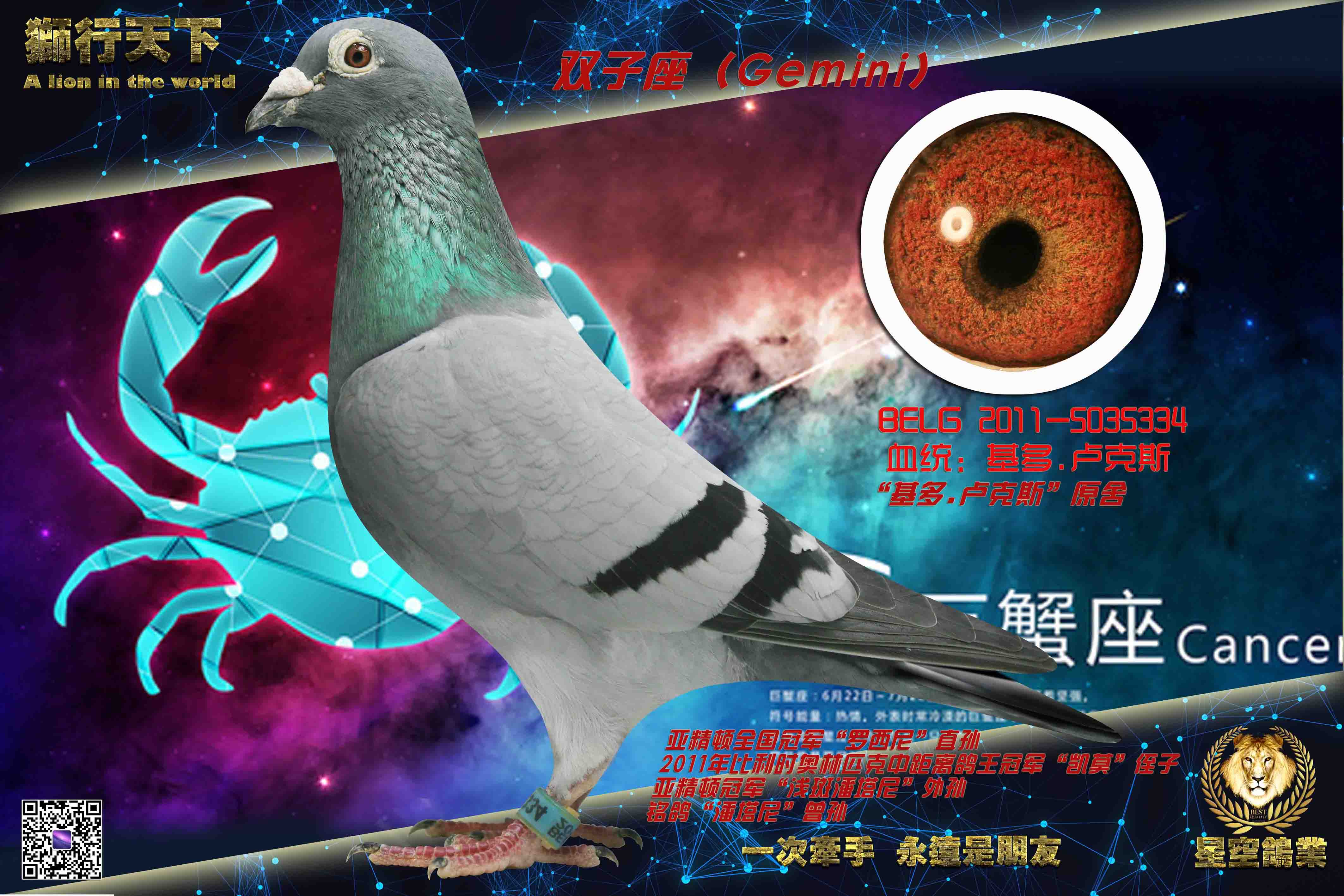����ƥ���о�������ھ�ֶ֮