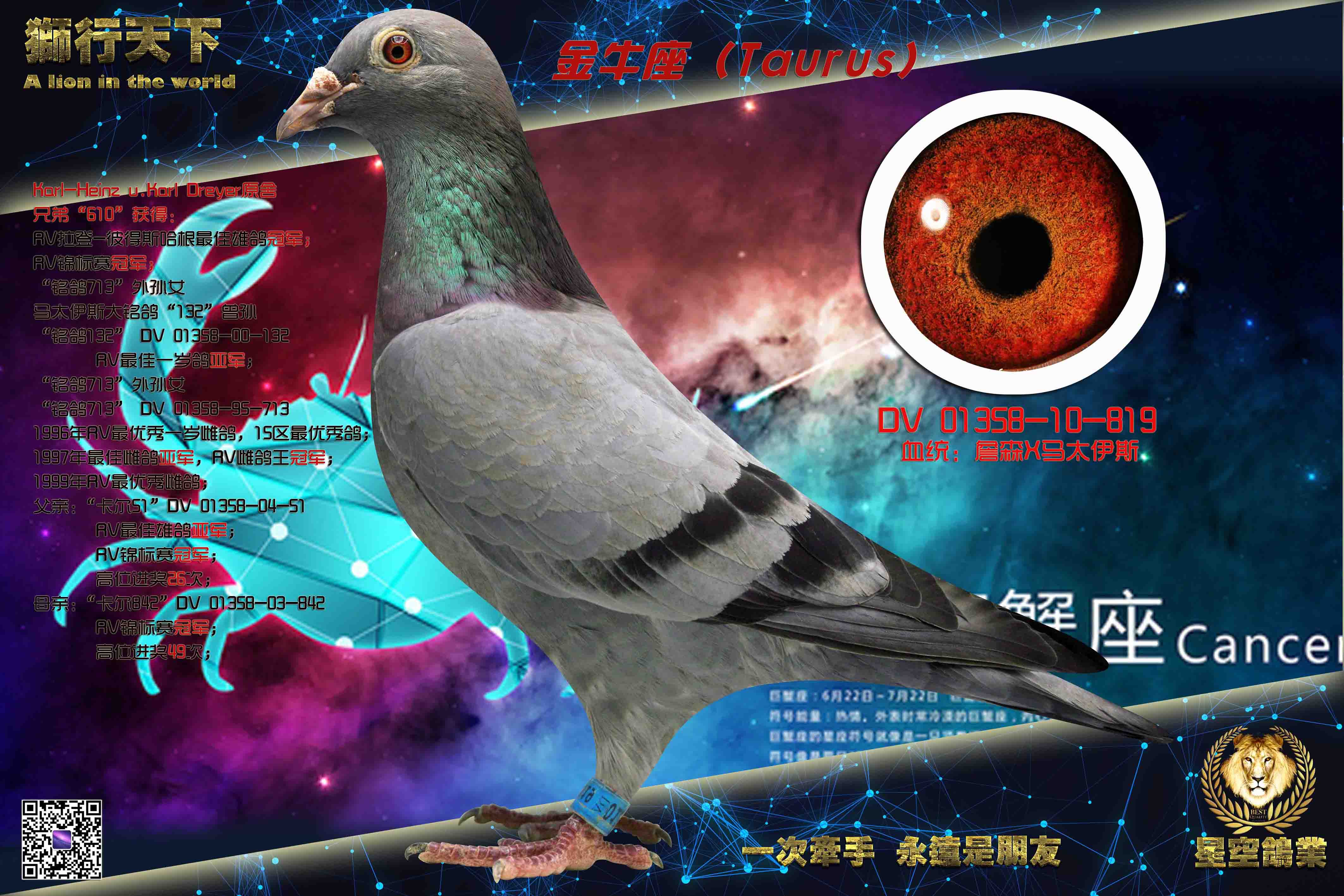 �¹�RV�������ھ�ȫ��