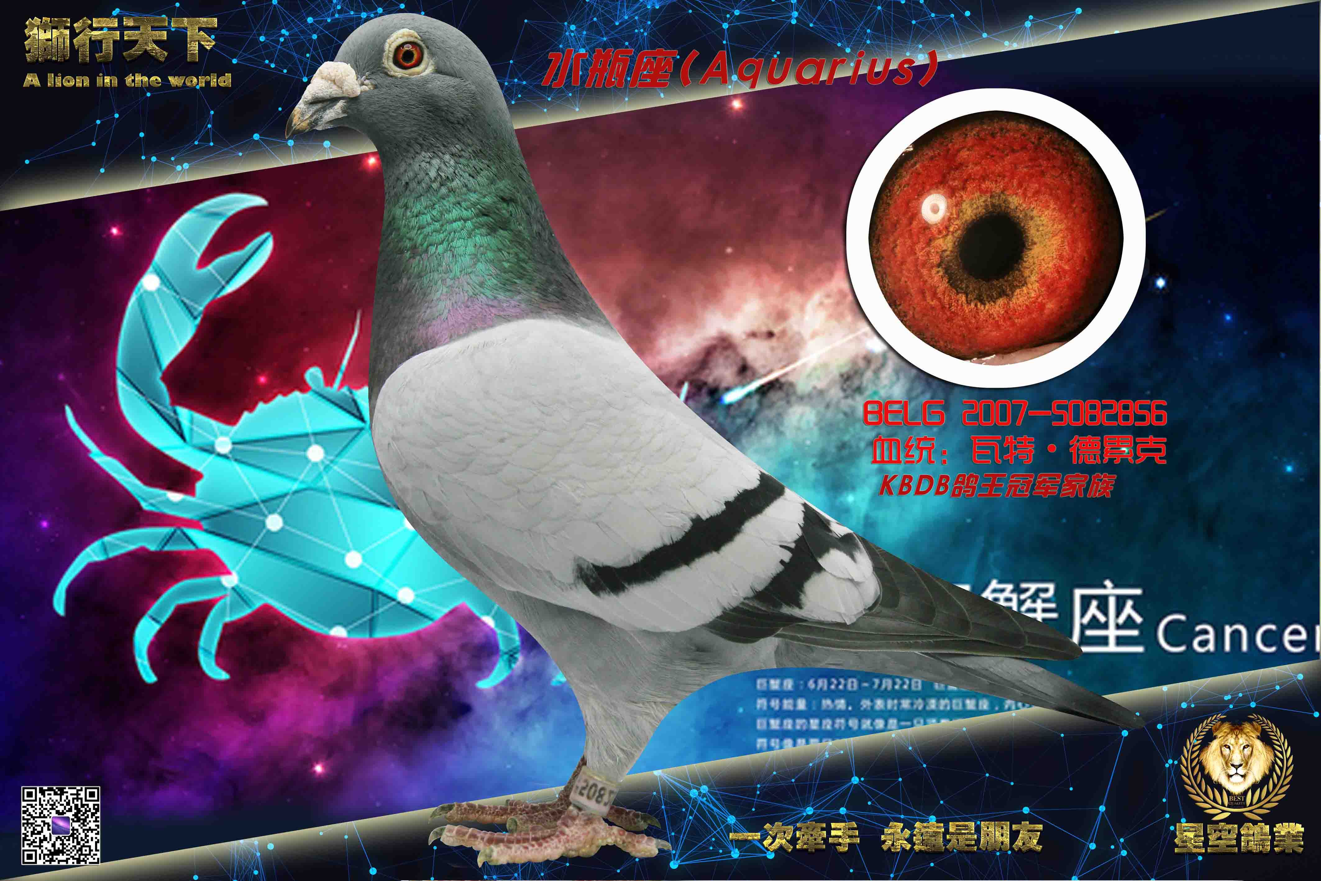 KBDB�����ھ�ƽ��