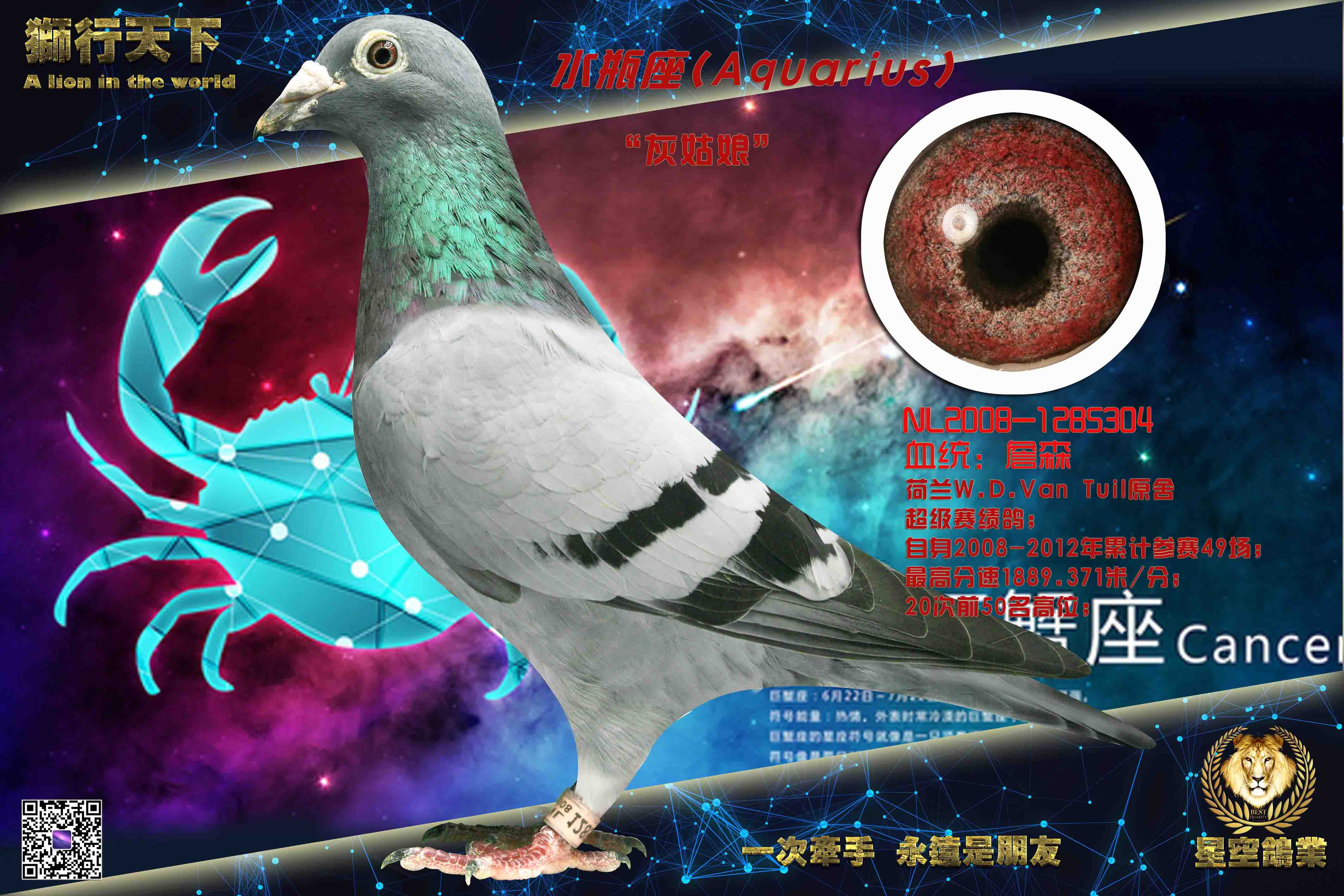 ղɭ���ҹ��