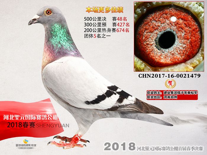 ӱ]ԪQِ48