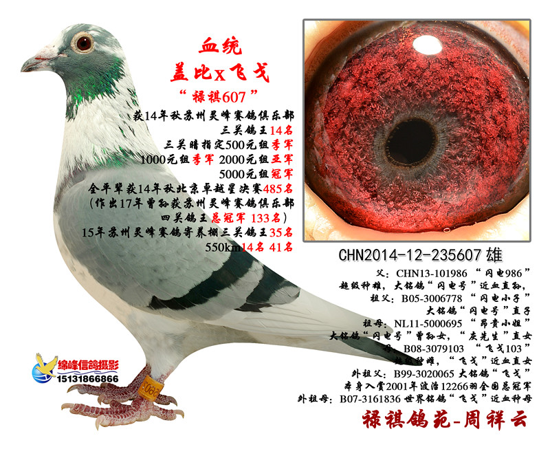 w꣺P(gun)14607