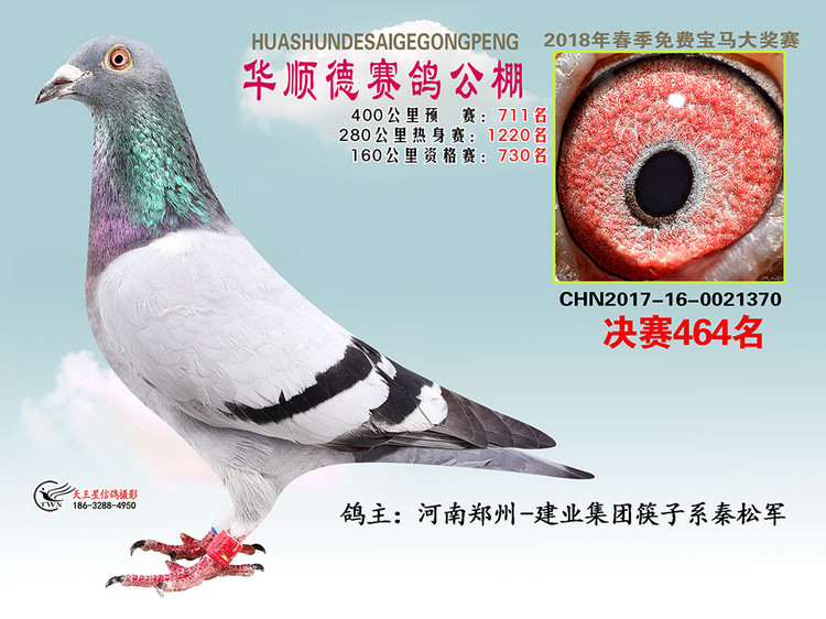 A혵¹Qِ464