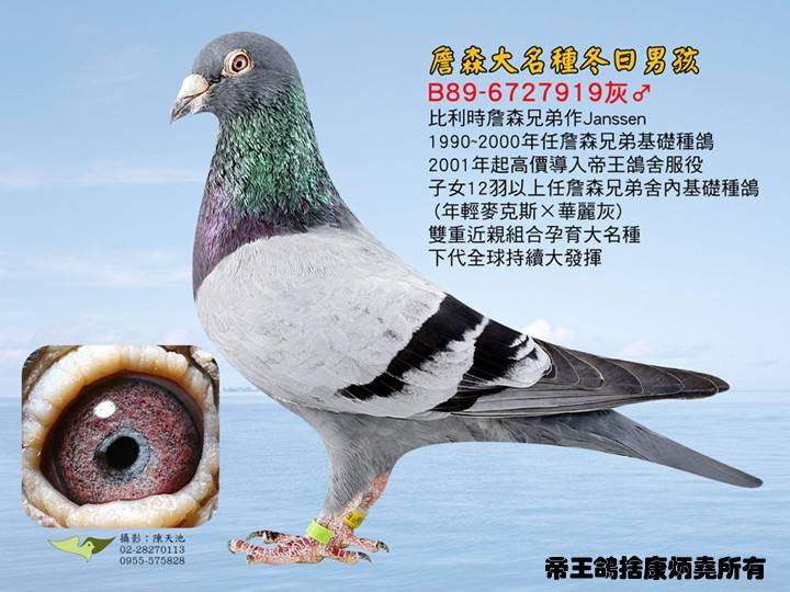 詹森"冬日男孩"