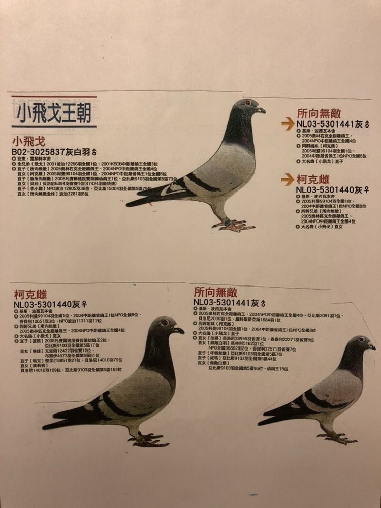 超级王子系列(已售)