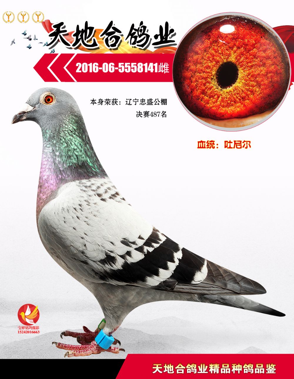 辽宁忠盛公棚决赛487名