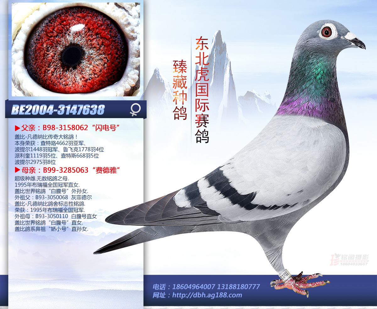 W늹