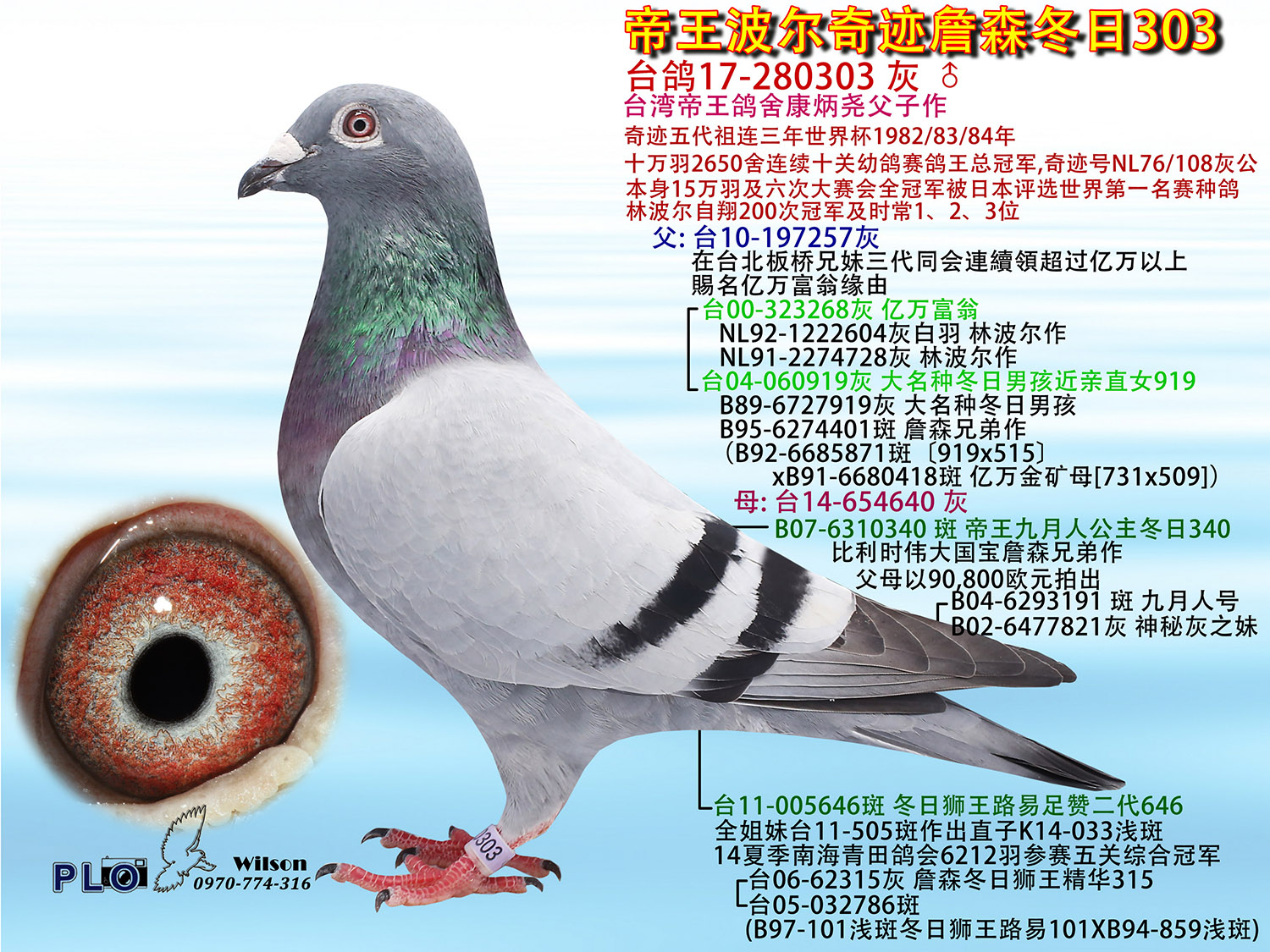 帝王波尔奇迹詹森冬日303