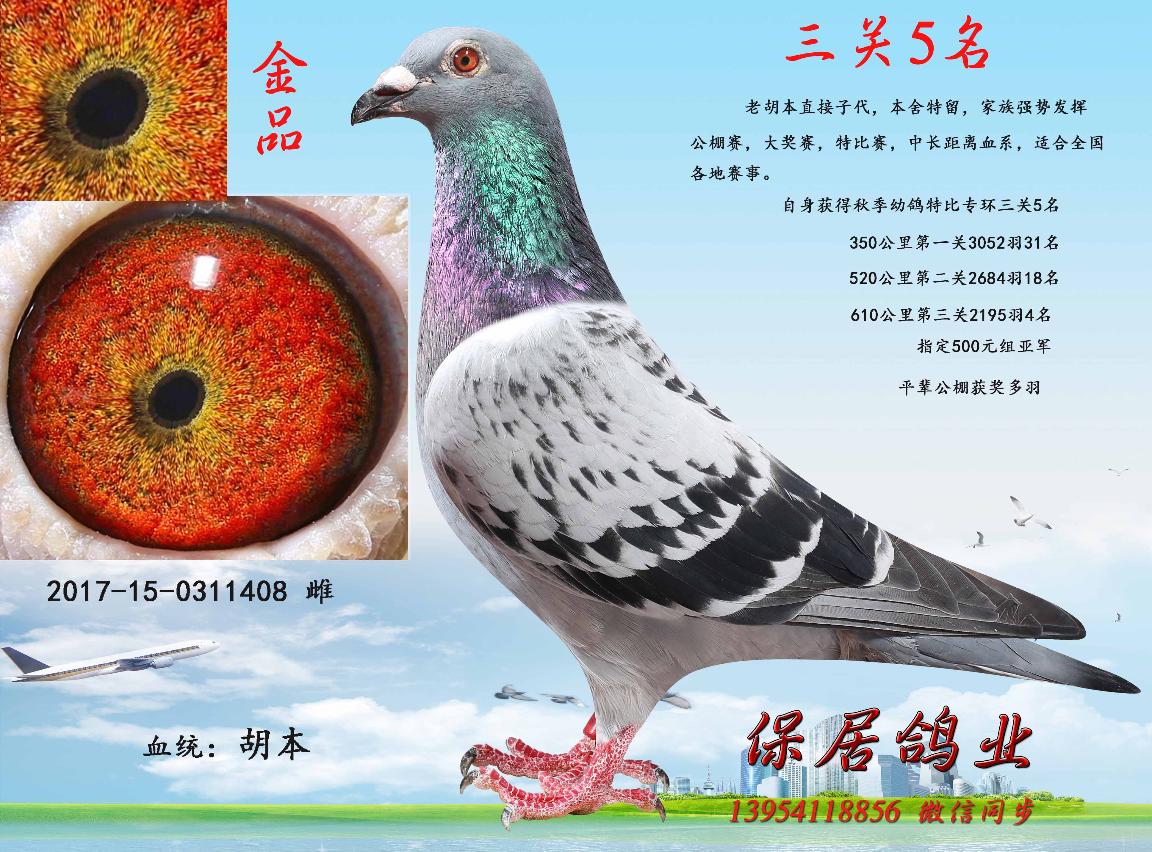 雨点母